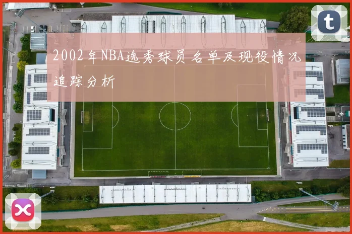 2002年NBA选秀球员名单及现役情况追踪分析