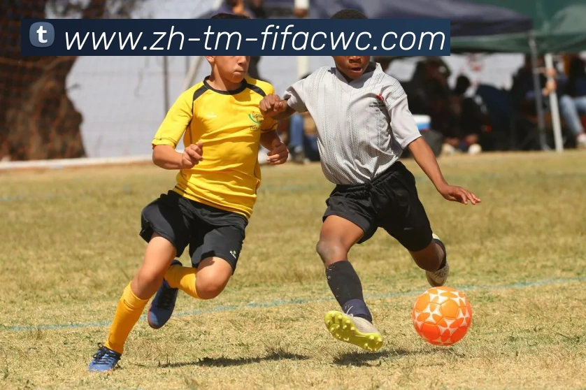 世界杯在线观看品牌故事