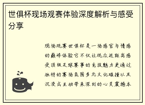 世俱杯现场观赛体验深度解析与感受分享