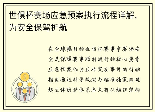 世俱杯赛场应急预案执行流程详解，为安全保驾护航